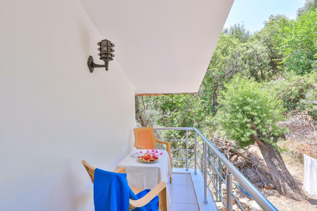 בוזבורון Anfora Hotel מראה חיצוני תמונה